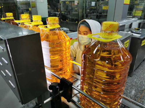 湖北襄州 9億元支持企業(yè)達產(chǎn)滿產(chǎn) 復(fù)工復(fù)產(chǎn)